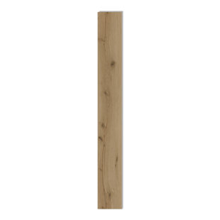 Friulano