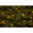 Dunhill Fir Fir Tree-2032998416