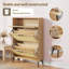 12 Pair Shoe Storage Cabinet