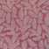 Hesperus Nevis Palm Frond Fuchsia/Light Gray Indoor/Outdoor Rug