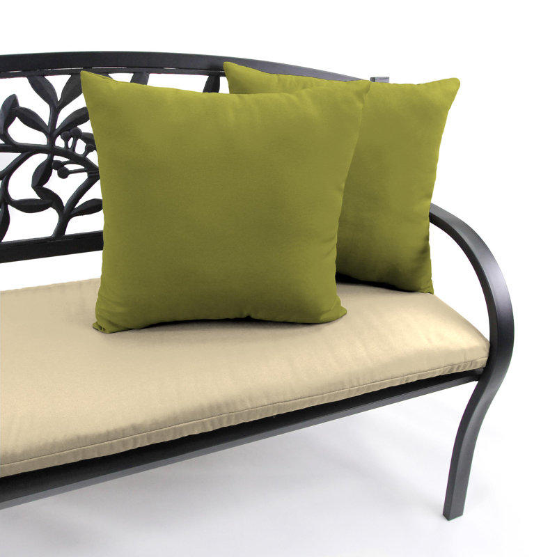 16" x 16" Outdoor Throw Pillow (Set of 2), Veranda Kiwi