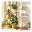 Plant Stand
