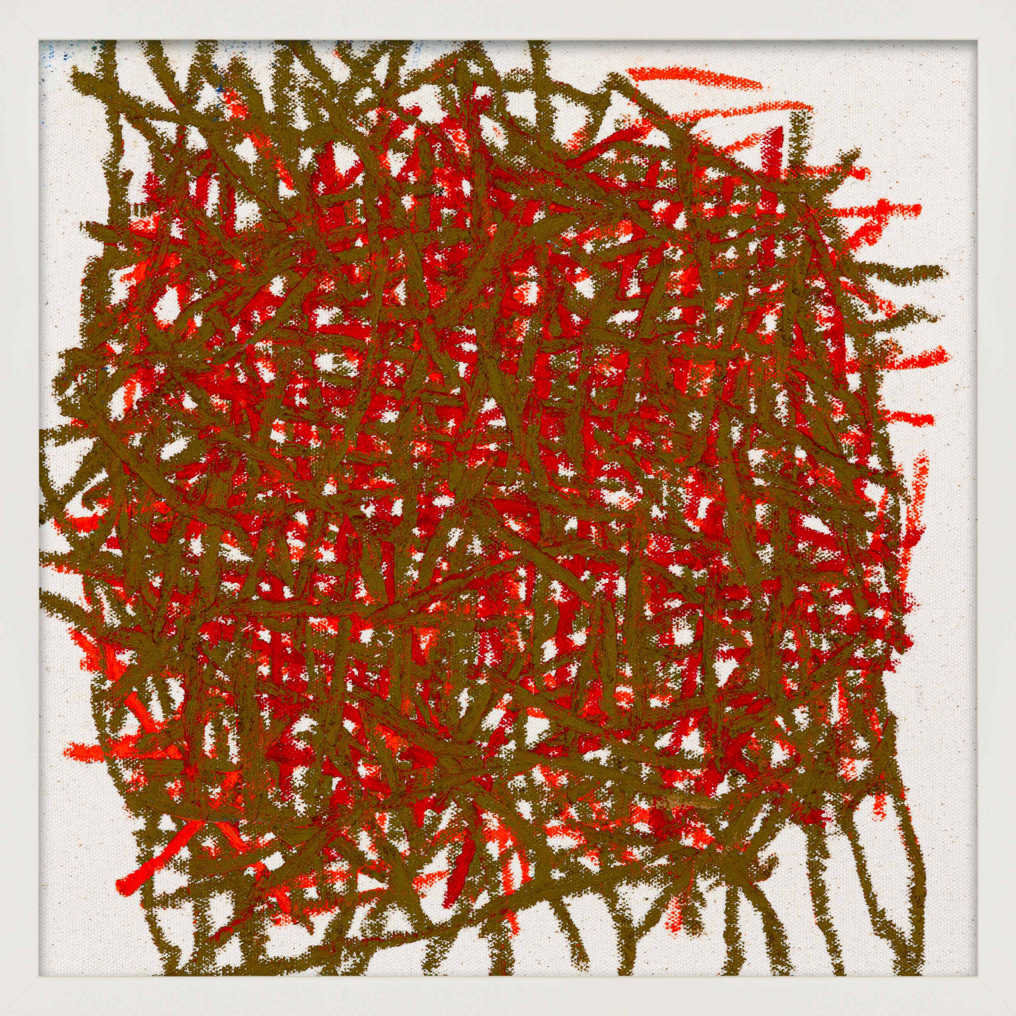 Thicket by Stephanie Dennis, 16" H x 16" W  x 1.25" D, White