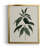" Soft Greenery II " Painting Print