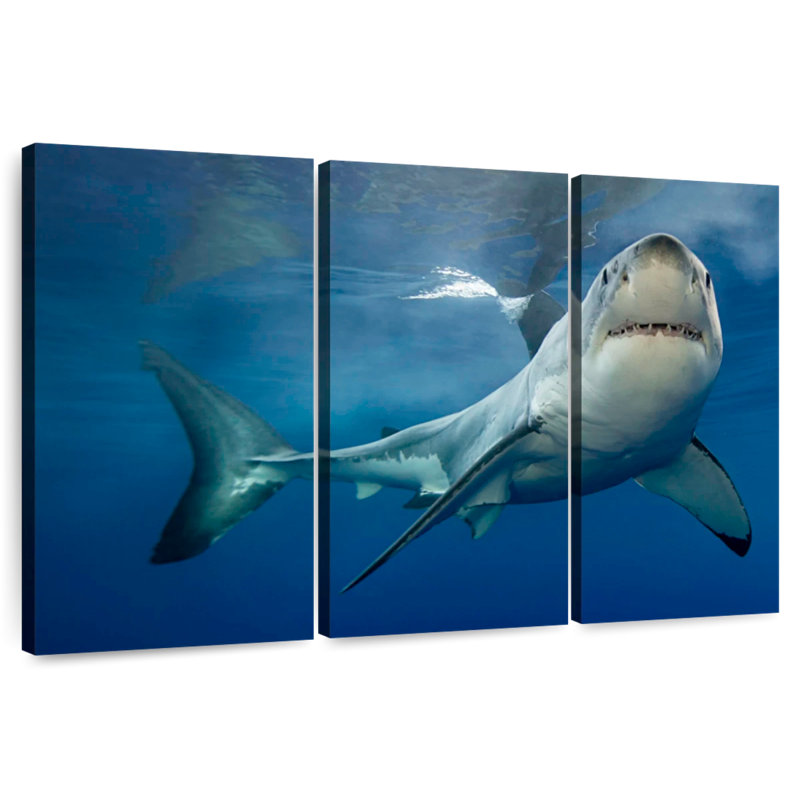 Brampt Shark Pursuit, 36" H x 57" W