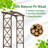60'' X 78' 'Wooden Garden Arbor