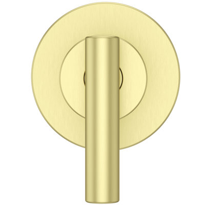 Contempra 1-Handle Diverter Trim