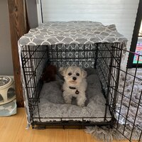 Midwest QuietTime Defender Covella Dog Crate Cover Gray