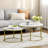 Jaleena Nesting Coffee Table