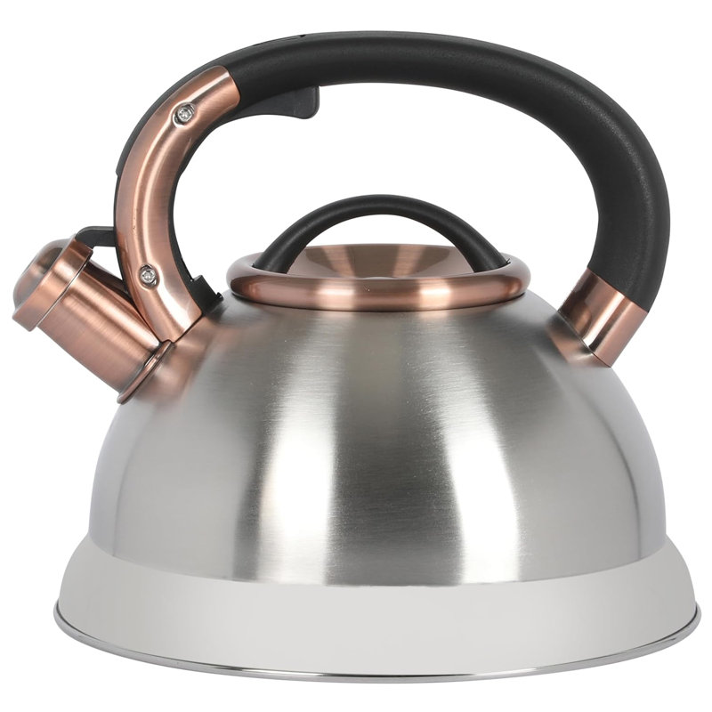 Mr. Coffee 2.2 Quart Stainless Steel Whistling Tea Kettle in Silver