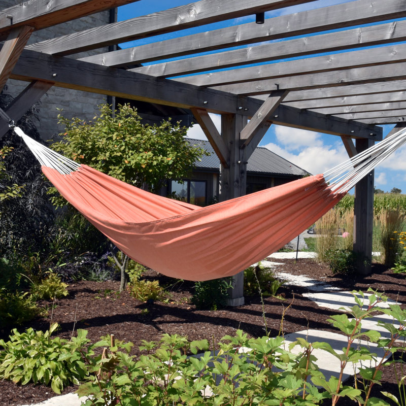 Anastasia Hammock, Coral