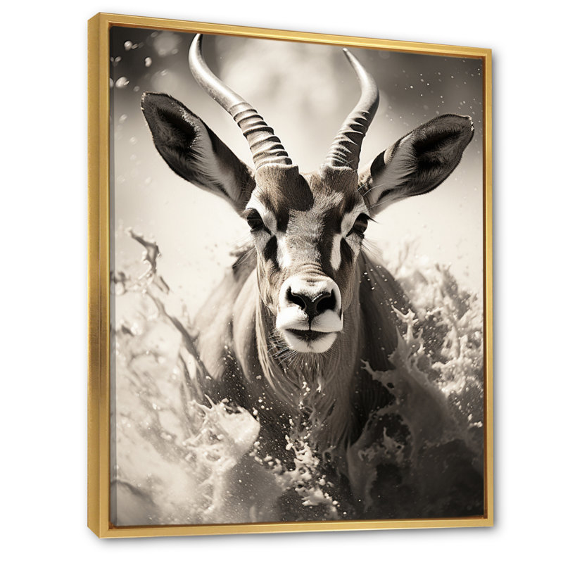 Keao Afrique Antilope gracieux saut - impression, H 20 po x l 12 po x P 1 po, Cadre flottant doré