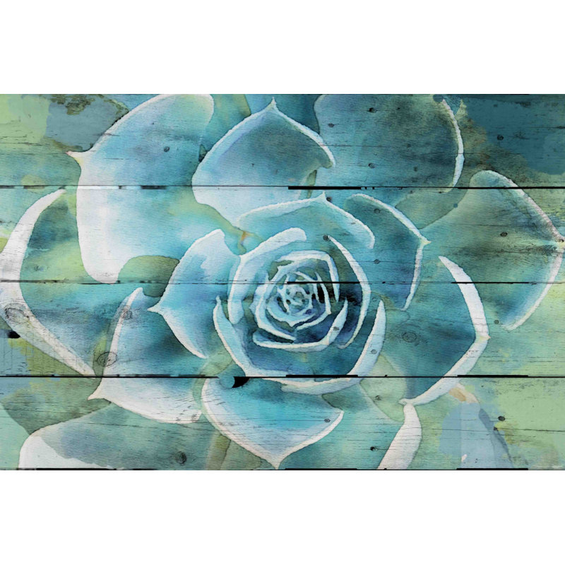 « succulent extravaganza », reproduction d’art sur toile tendue, H 12 po x l 18 po