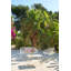 Sixties Outdoor Coffee Table-86803359