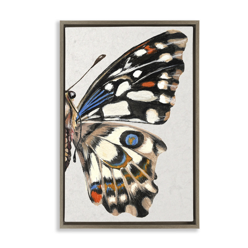 «Butterfly Wing» par Melissa Wang, Cadre flottant gris lustré, H 31 po x l 21 po
