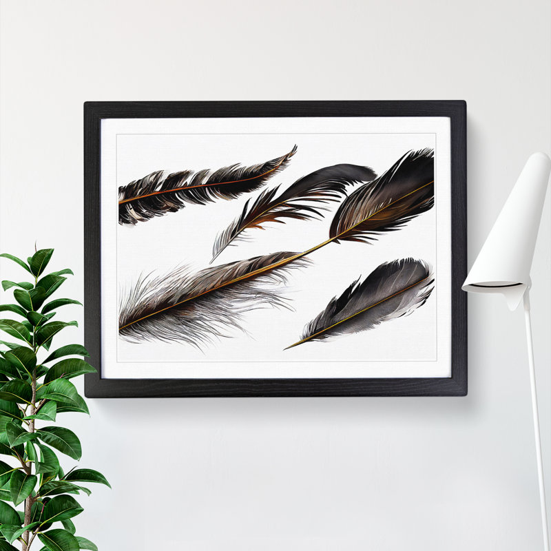 Astounding Bird Feathers - Single Picture Frame Print, Black Framed, 46cm H x 64cm W x 2cm D