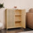Large Capacity Storage Cabinet