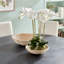 Evah Rattan Decorative Bowl Set