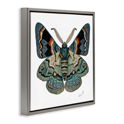 Symbole du changement, papillon mural encadré par Lena Owens