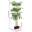 Faux Bamboo Tree in Pot-1169599039