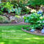 20.32cm H x 600cm W Lawn Edging