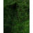 Rucker One-of-a-Kind 12' 2" X 17' 10" New Age Rectangular Wool Area Rug Green