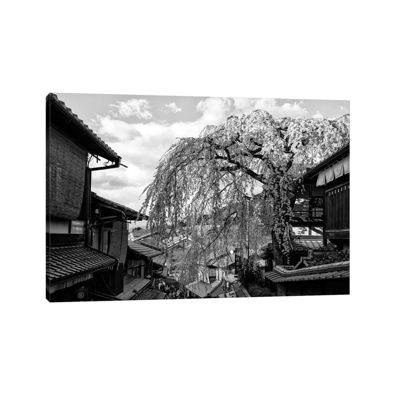 Kyoto Cherry Blossoms by Philippe Hugonnard - Wrapped Canvas Print, 20.32 cm H x 30.48 cm W
