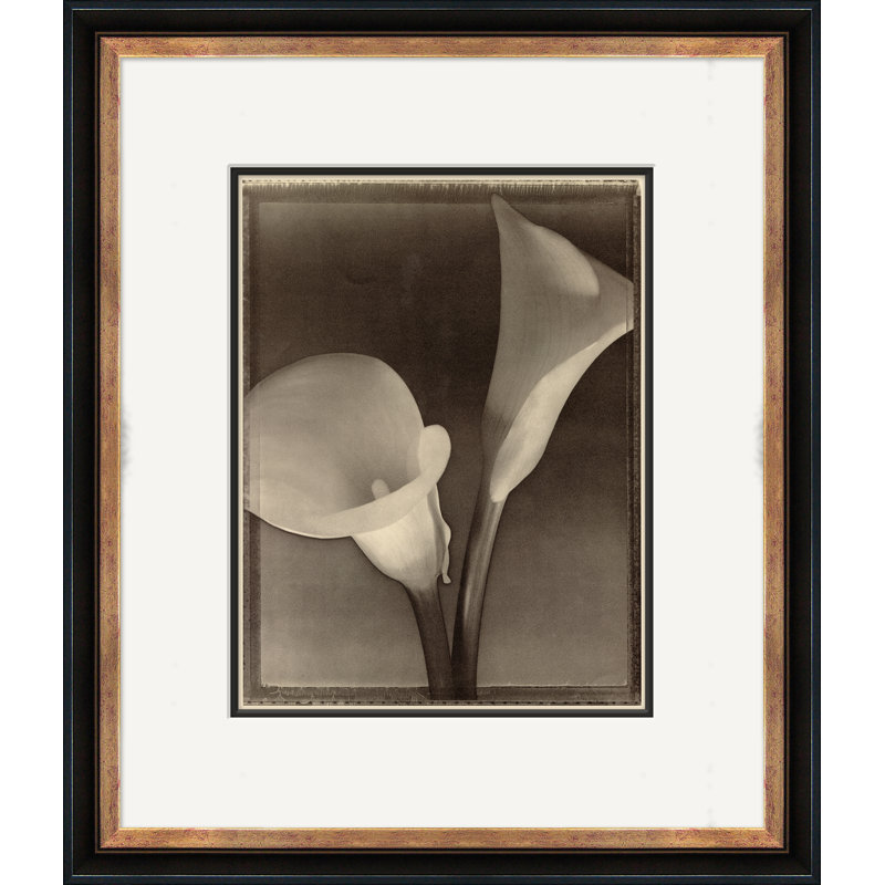 Sepia Flowers 12 Giclee Print by Soicher Marin Archives