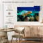 Tortue sous l'eau-1266010374-1266010490