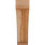 Attelle impériale du genou-29309856-31229277-31229348