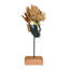 Golden Queen Wood and Copper Bust