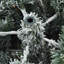 3.94' H Lighted Artificial Christmas Tree