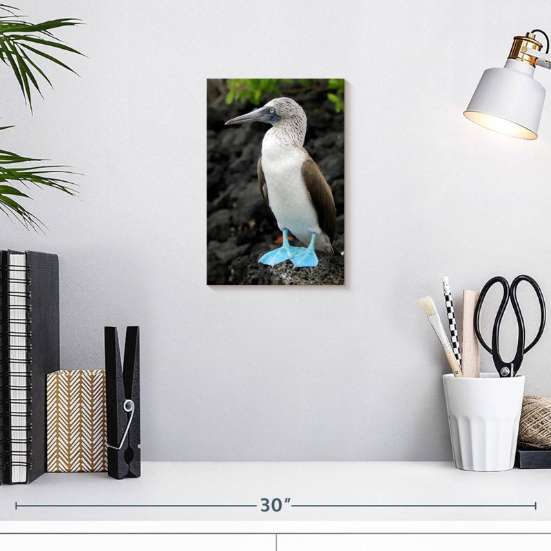 Brampt Blue-Footed Booby Birds, 12" H x 8" W