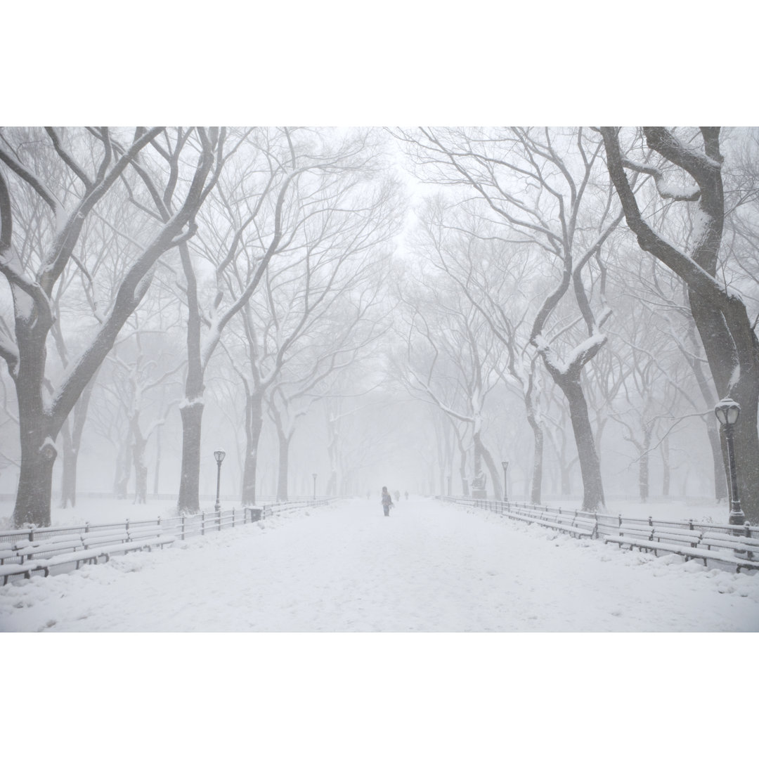 Central Park Winter - The Mall von Zxvisual - Druck ohne Rahmen auf Leinwand