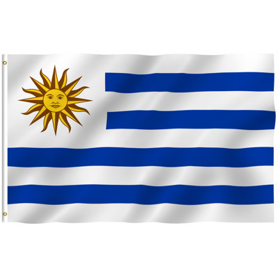 Uruguay Polyester 36 x 60 in. House Flag