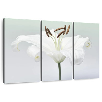 Harnek White Lily Flower