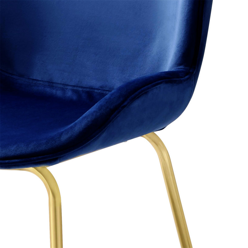 Chuchip  Velvet Finish Side Chair, Blue/Gold Velvet