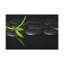 «Green Bamboo on Stones Forest Floral», photographie sur toile-1017935527