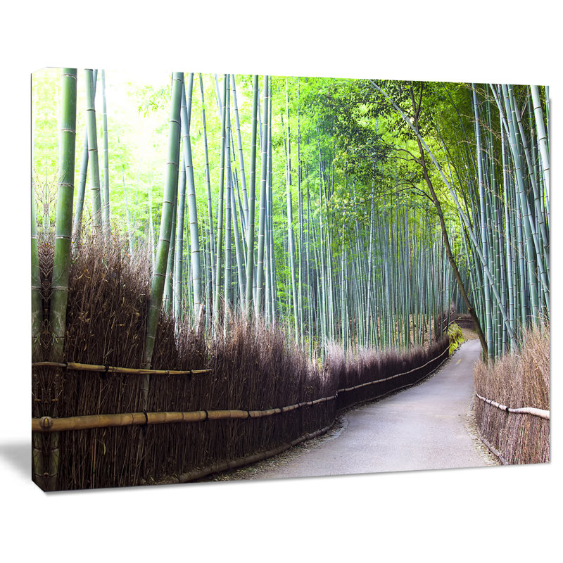 «Kyoto Bamboo Forest Pathway», reproduction de photo sur toile tendue, H 30 po x l 40 po x P 1 po