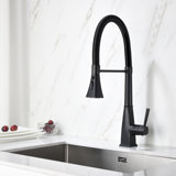 Pull Down Single Handle Kitchen Faucet