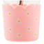 Bouteille d'hydratation 10 Stria