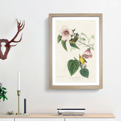 Blue Winged Yellow Warbler Birds by John Audubon - Picture Frame Graphic Art Print
