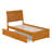 Portland Solid Wood Platform Bed with Panel Footboard and Trundle-96140454