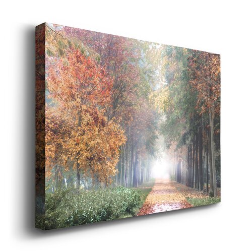 Lark Manor Breath Framed On Canvas Print & Reviews | Wayfair