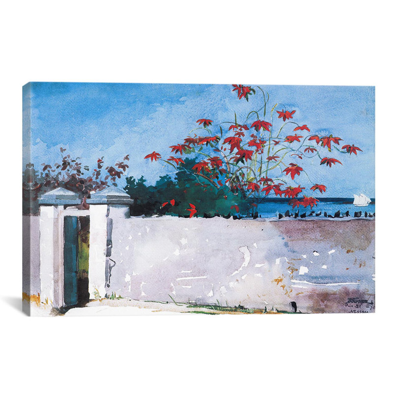 «A Wall, Nassau 1898» par Winslow Homer, reproduction d'art sur toile, H 18 po x l 26 po x P 1,5 po, Pas de tapis