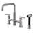 Clihome Kitchen Faucet with Side Spray-79486352