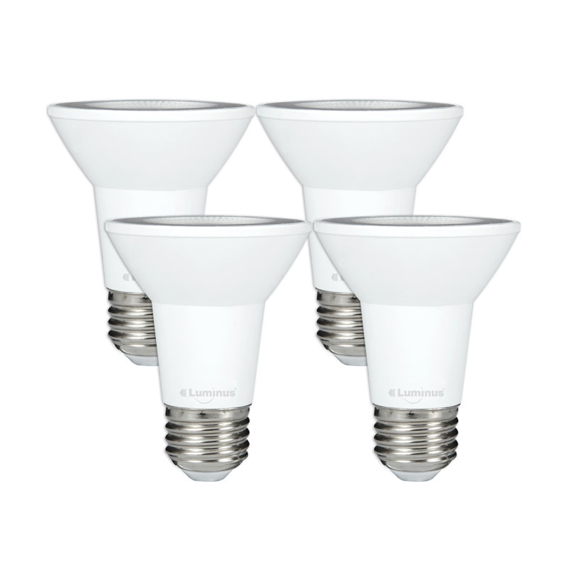 6.5 Watt Bulb