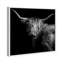 Realistic Black And White Highland Cow Photography Print by Oliver Gal-69341783-69341781