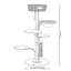 Structure d'escalade simple et tendance