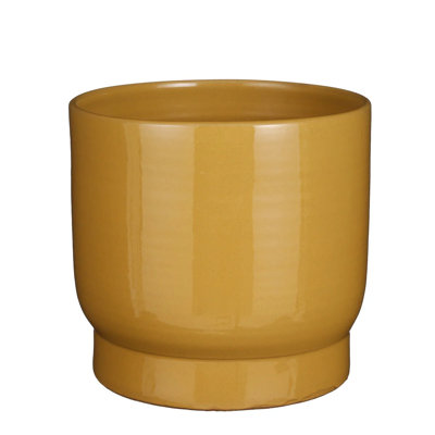 Alvia Ceramic Pot Planter